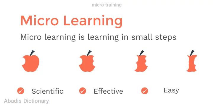 micro training
